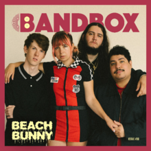 Load image into Gallery viewer, Beach Bunny
