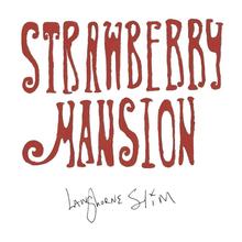 Load image into Gallery viewer, Langhorne Slim
