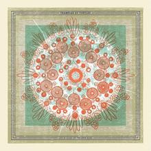 Load image into Gallery viewer, Trampled by Turtles
