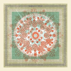 Trampled by Turtles